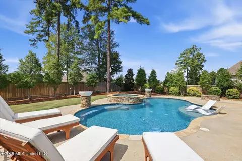 Exterior - 334 Wellstone Pl, Madison, MS 39110 photo 18 of 18