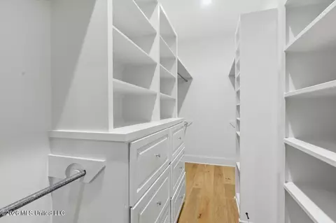 Other - 334 Wellstone Pl, Madison, MS 39110 photo 8 of 13