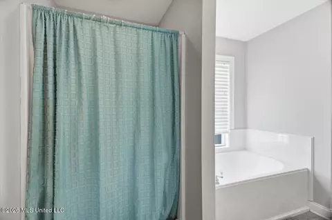 Bath - 116 Weldon Dr, Madison, MS 39110 photo 1 of 3