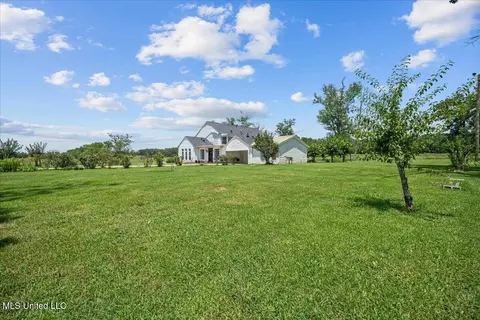 Exterior - 1951 E 3rd St, Forest, MS 39074 photo 14 of 17