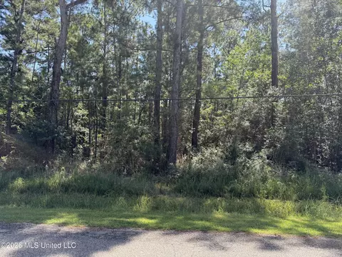 E Itawamba Street, Bay Saint Louis, MS 39520