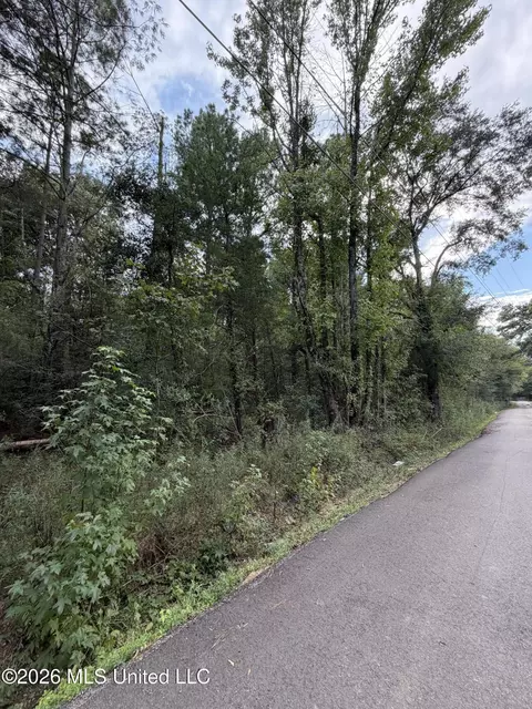 Cleo Clark Road, Canton, MS 39046 photo 2