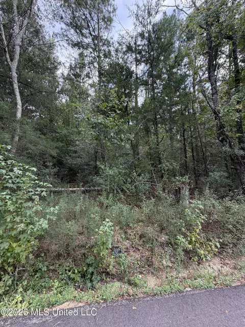 Cleo Clark Road, Canton, MS 39046 photo 3