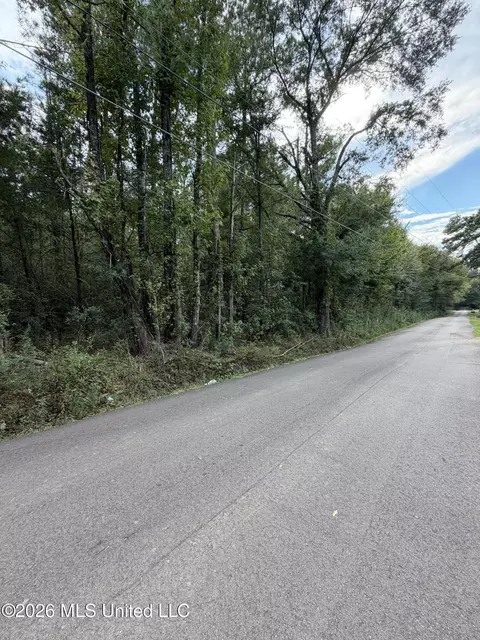 Cleo Clark Road, Canton, MS 39046 photo 4