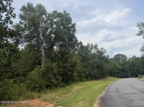 Robin St, Vancleave, MS 39565 photo 4
