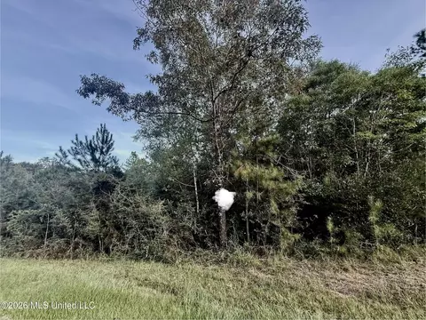 Robin St, Vancleave, MS 39565 photo 7
