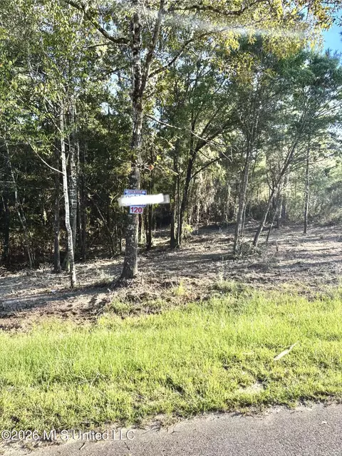 Robin St, Vancleave, MS 39565 photo 11