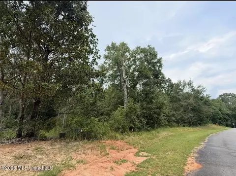 Robin St, Vancleave, MS 39565 photo 3