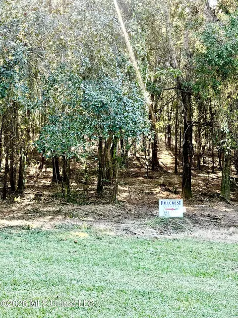 Robin St, Vancleave, MS 39565 photo 12