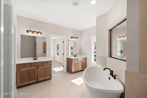 Bath - 297 Kason Scott Rd, Hernando, MS 38632 photo 3 of 5