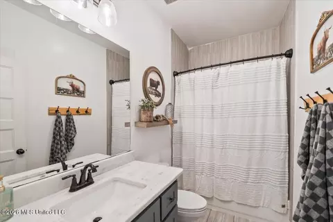 Bath - 2865 Walking Dog Ln, Nesbit, MS 38651 photo 4 of 4