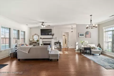 Other - 2865 Walking Dog Ln, Nesbit, MS 38651 photo 4 of 13