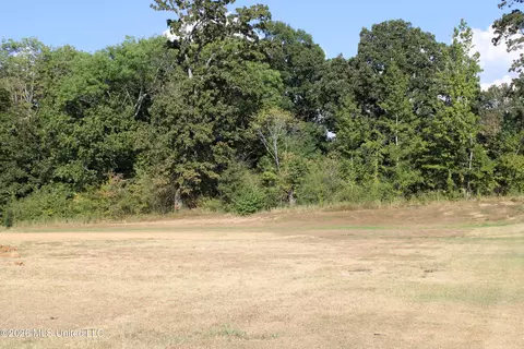 750 Red Cedar Loop, Hernando, MS 38632 photo 4