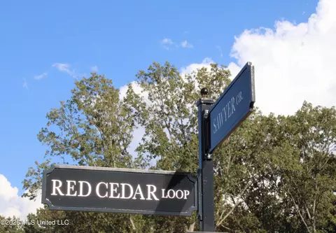 750 Red Cedar Loop, Hernando, MS 38632 photo 6