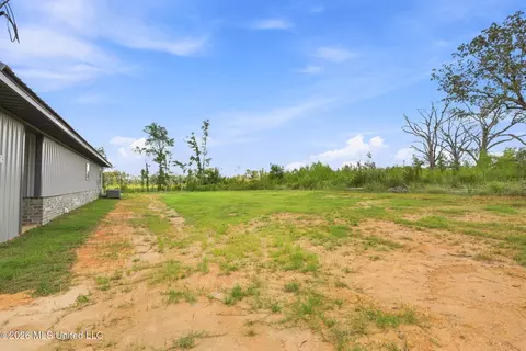 Exterior - 3978 Morton-rankin County Line Rd, Morton, MS 39117 photo 4 of 4