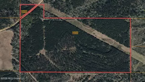 1178 Tolar Rd, Oak Vale, MS 39656 photo 12