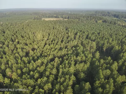 1178 Tolar Rd, Oak Vale, MS 39656 photo 3