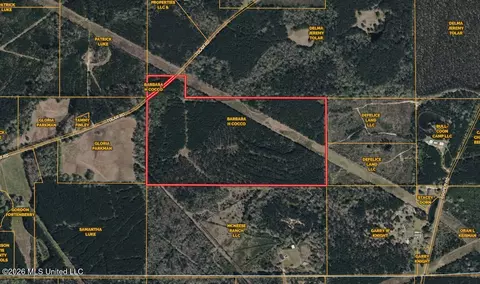 1178 Tolar Rd, Oak Vale, MS 39656 photo 13
