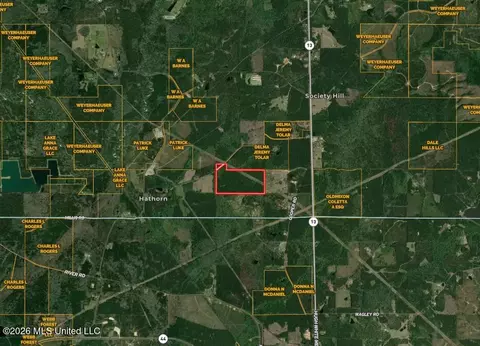 1178 Tolar Rd, Oak Vale, MS 39656 photo 14
