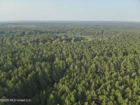 1178 Tolar Rd, Oak Vale, MS 39656 photo 2