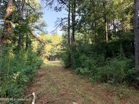 1178 Tolar Rd, Oak Vale, MS 39656 photo 10