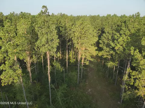 1178 Tolar Rd, Oak Vale, MS 39656 photo 6