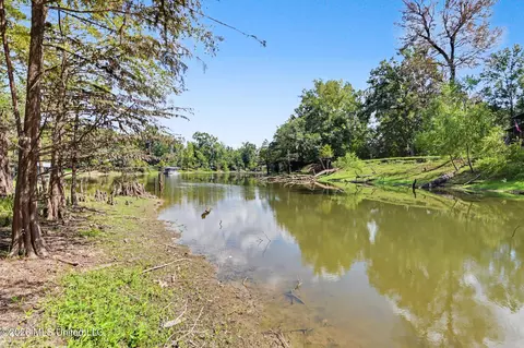 View/Area - 24720 Davis Dead River Dr, Lucedale, MS 39452 photo 1 of 3