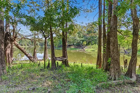 Exterior - 24720 Davis Dead River Dr, Lucedale, MS 39452 photo 7 of 7