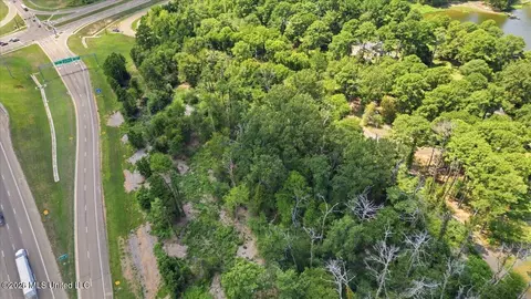 Lakeview Drive, Madison, MS 39110 photo 10
