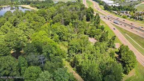 Lakeview Drive, Madison, MS 39110 photo 4