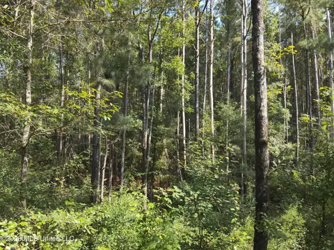 Jw Jones, Oak Vale, MS 39656 photo 10