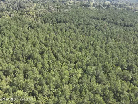 Jw Jones, Oak Vale, MS 39656 photo 3