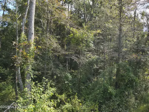 Jw Jones, Oak Vale, MS 39656 photo 7