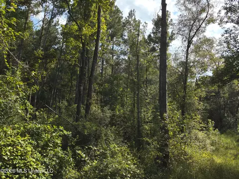 Jw Jones, Oak Vale, MS 39656 photo 11