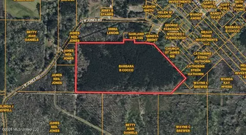 Jw Jones, Oak Vale, MS 39656 photo 13