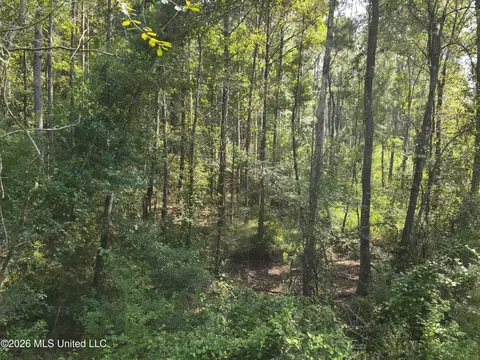 Jw Jones, Oak Vale, MS 39656 photo 9