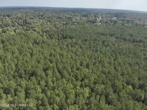 Jw Jones, Oak Vale, MS 39656 photo 5