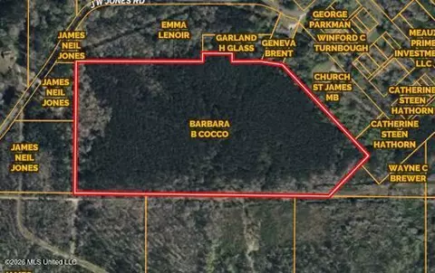 Jw Jones, Oak Vale, MS 39656 photo 12