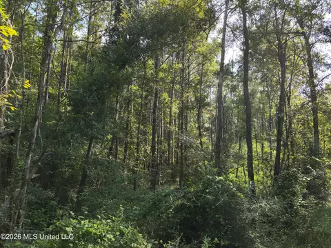 Jw Jones, Oak Vale, MS 39656 photo 8