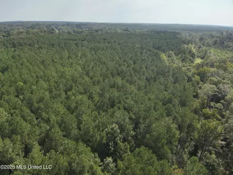 Jw Jones, Oak Vale, MS 39656 photo 2