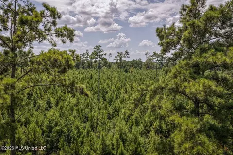 Nnn Driftwood Road, Summit, MS 39666 photo 4