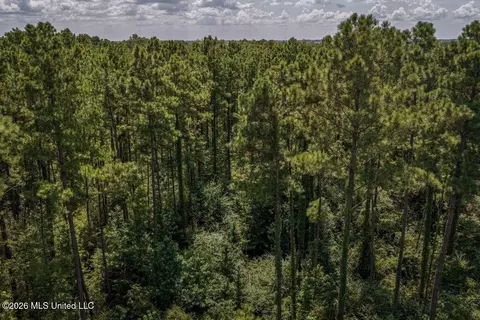Nnn Driftwood Road, Summit, MS 39666 photo 2