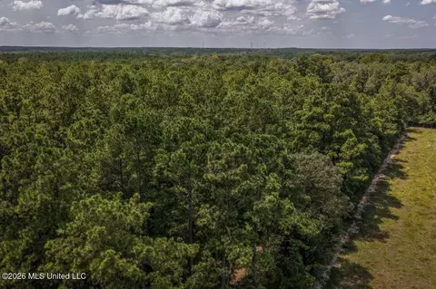 Nnn Driftwood Road, Summit, MS 39666 photo 7