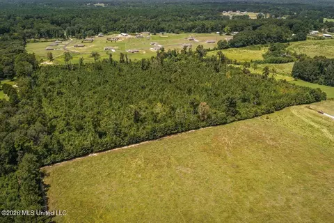 Nnn Driftwood Road, Summit, MS 39666 photo 3