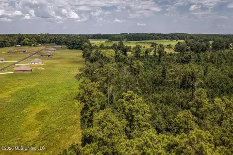 Nnn Driftwood Road, Summit, MS 39666 photo 6
