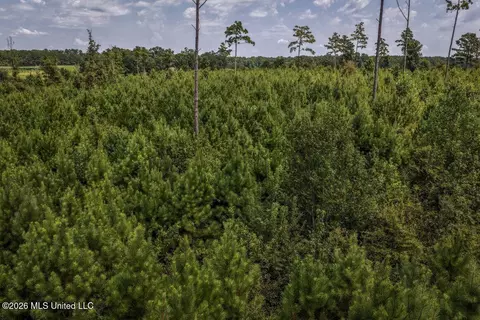 Nnn Driftwood Road, Summit, MS 39666 photo 5