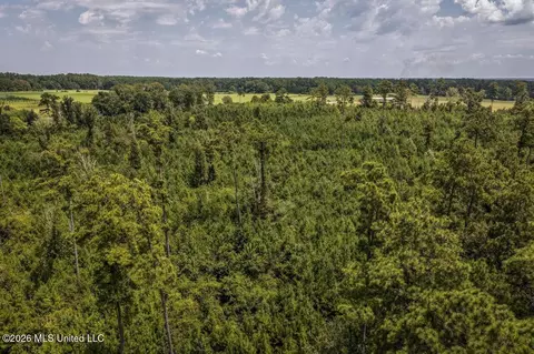 Nnn Driftwood Road, Summit, MS 39666 photo 8