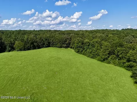 006 Monticello Rd, Wesson, MS 39191 photo 10