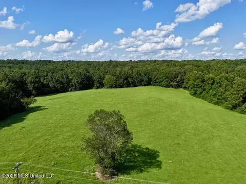 006 Monticello Rd, Wesson, MS 39191 photo 8