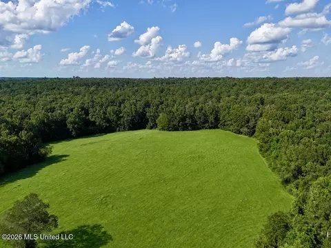 006 Monticello Rd, Wesson, MS 39191 photo 7